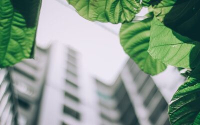 The Future of Design: Green Building